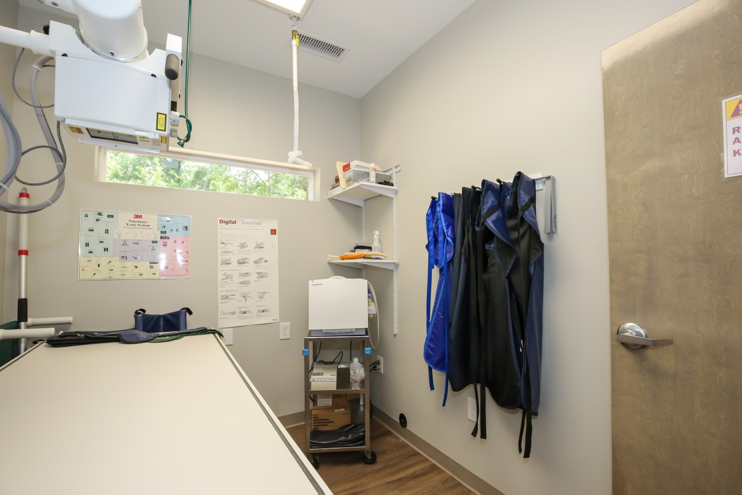 Radiology / Ultrasound