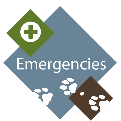 Emergencies