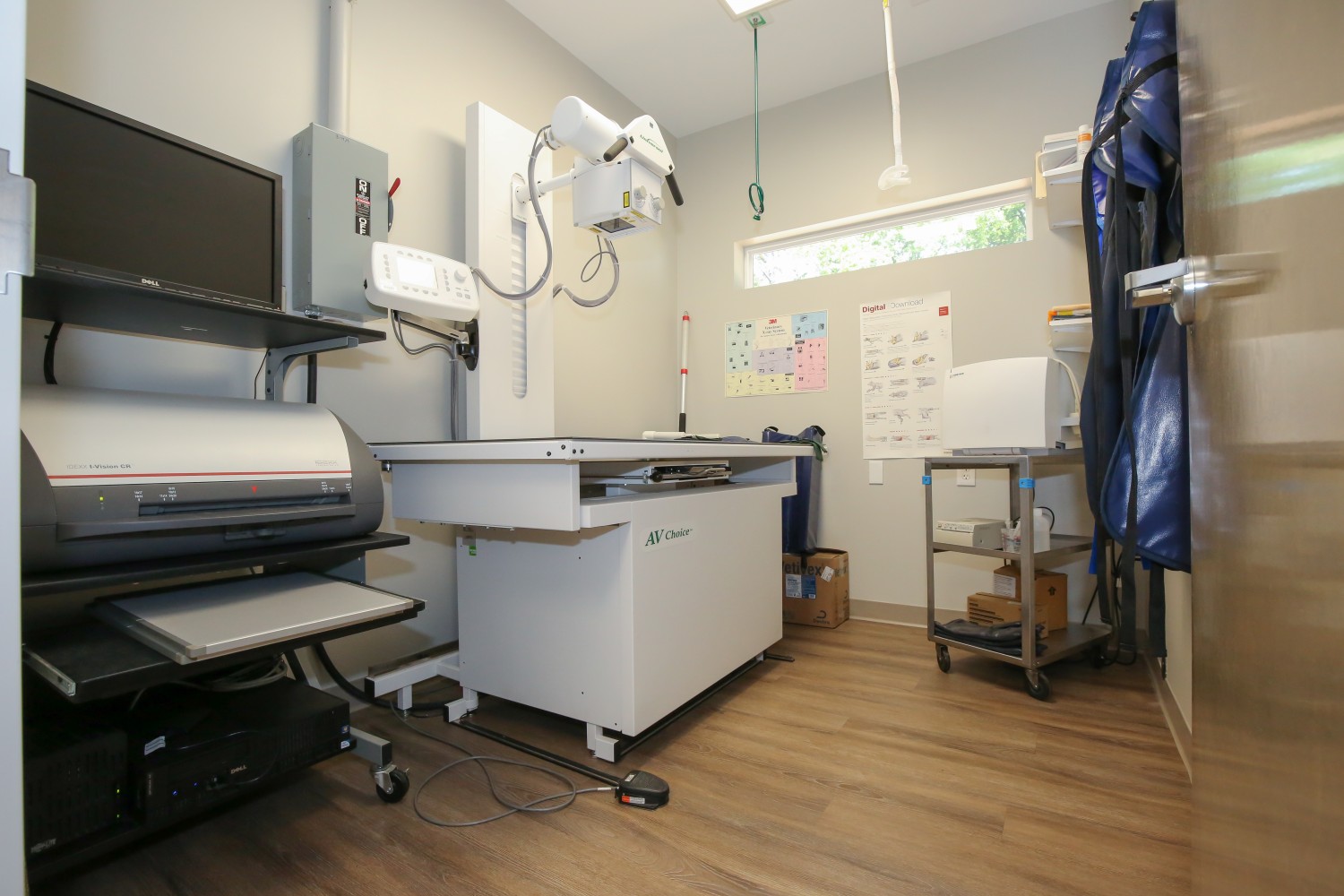 Radiology / Ultrasound