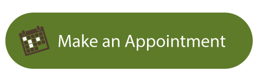 Make an Appointment Button